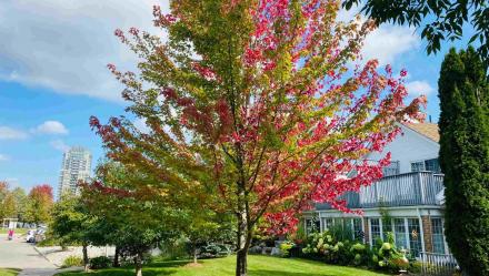 nature-walk-feature-image