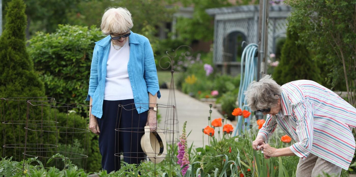 two ladies gardening