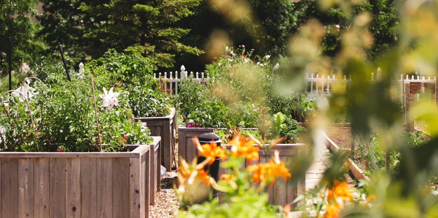 Flower Gardens at Luther Village on the Park